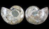 Sliced Fossil Ammonite Pair - Agatized #37169-1